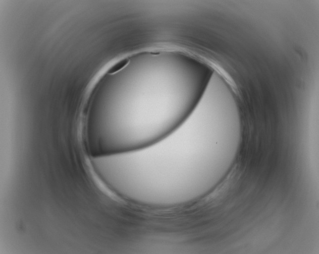 X0000113601484200910161854