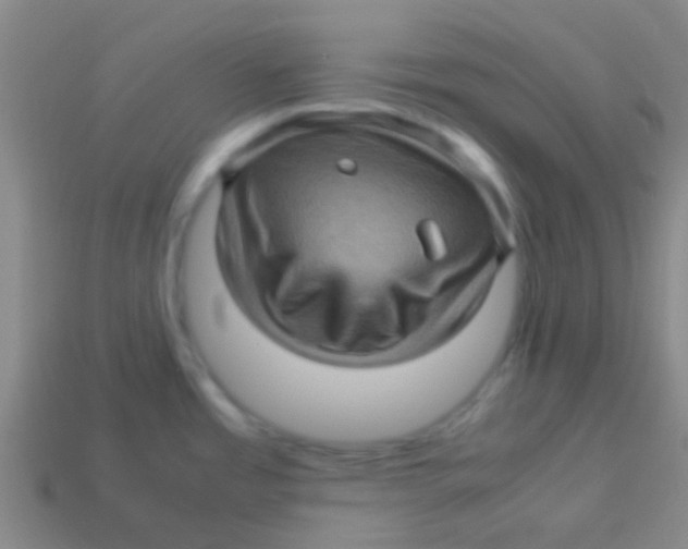 X0000113601485200910161854