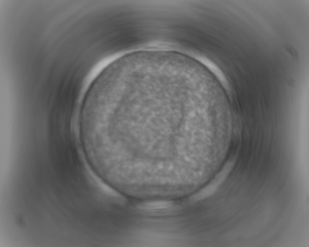 X0000113601486200910161854