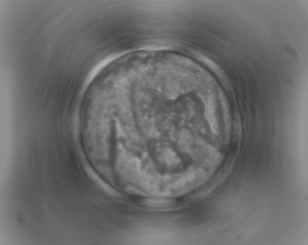 X0000113601487200910161854