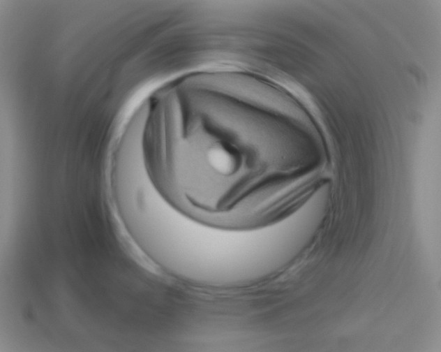 X0000113601488200910161854