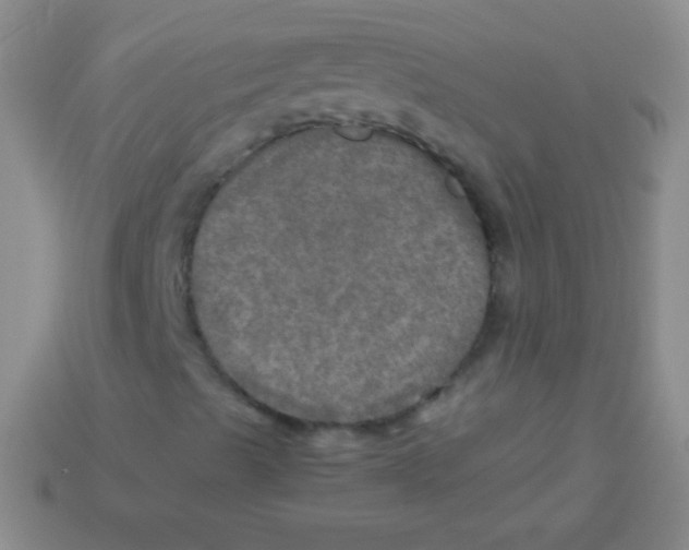 X0000113601489200910161853