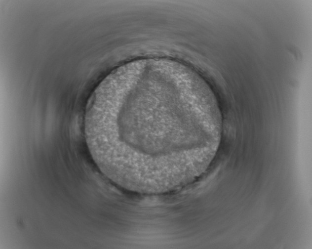 X0000113601490200910161853