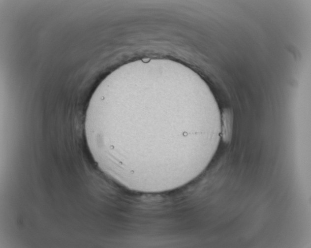 X0000113601491200910161853