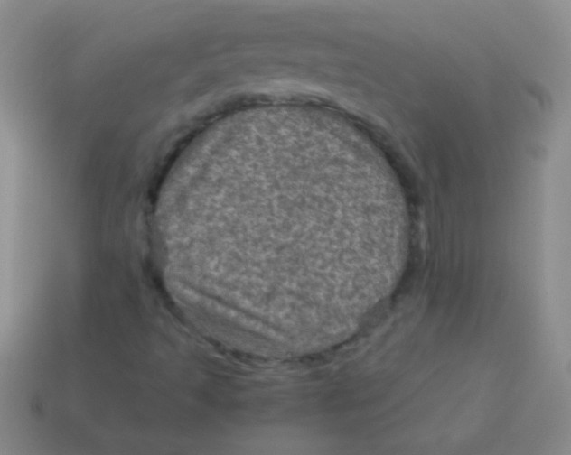 X0000113601493200910161853