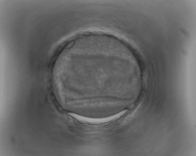 X0000113601494200910161853