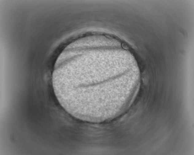 X0000113601495200910161853