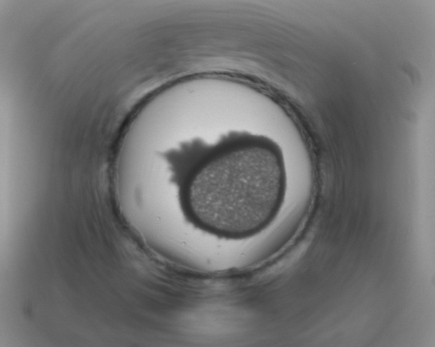 X0000113601497200910161853