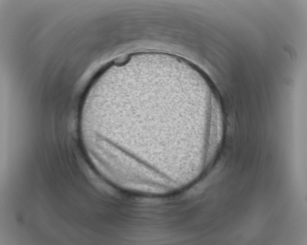 X0000113601499200910161853