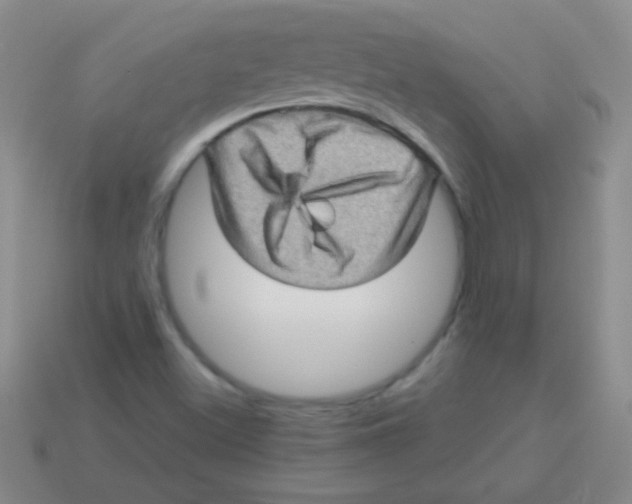 X0000113601500200910161853