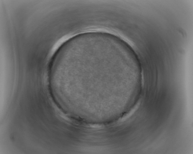 X0000113601501200910161853