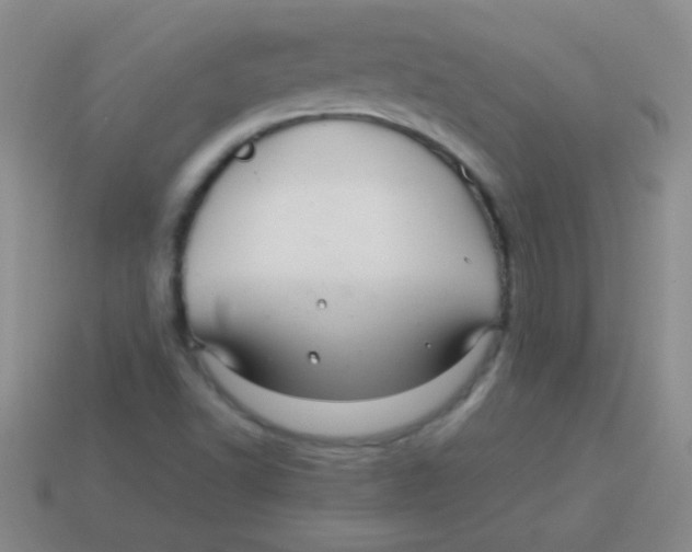 X0000113601502200910161853