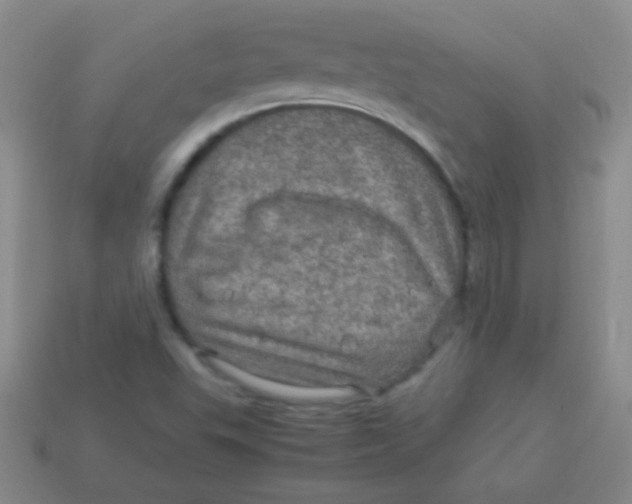 X0000113601503200910161853