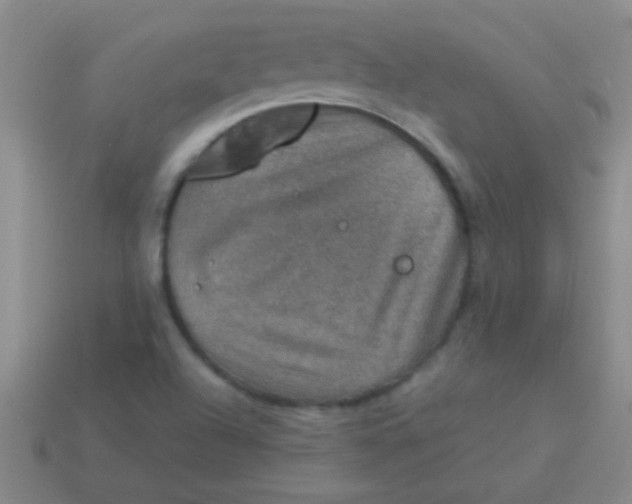 X0000113601504200910161853