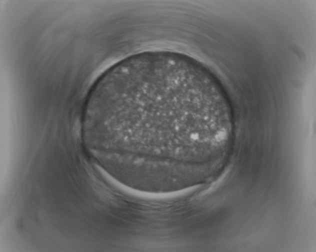 X0000113601505200910161853