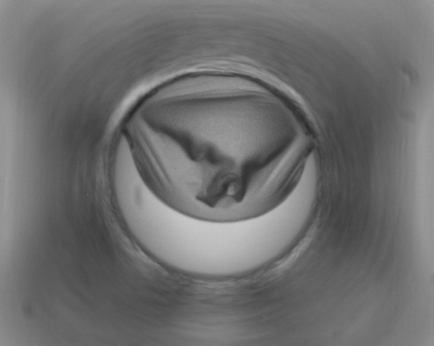 X0000113601506200910161853