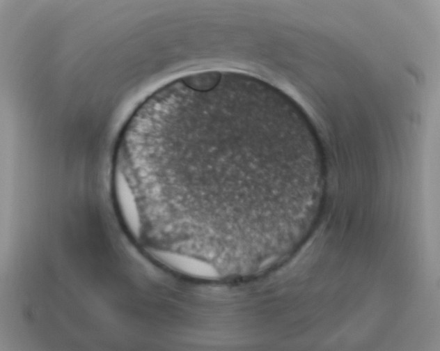 X0000113601508200910161853