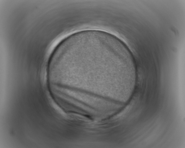 X0000113601511200910161853