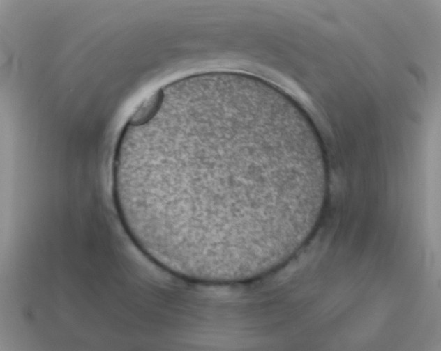 X0000113601512200910161853