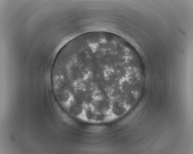 X0000113601513200910161853