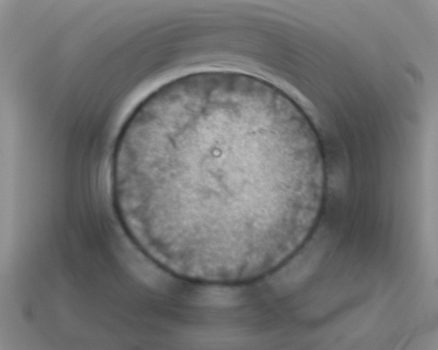 X0000113601514200910161853