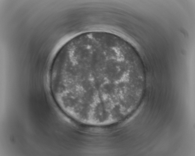 X0000113601517200910161854