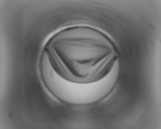 X0000113601518200910161854