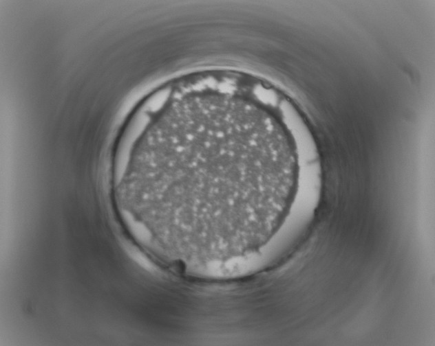 X0000113601519200910161854