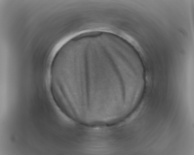 X0000113601520200910161854