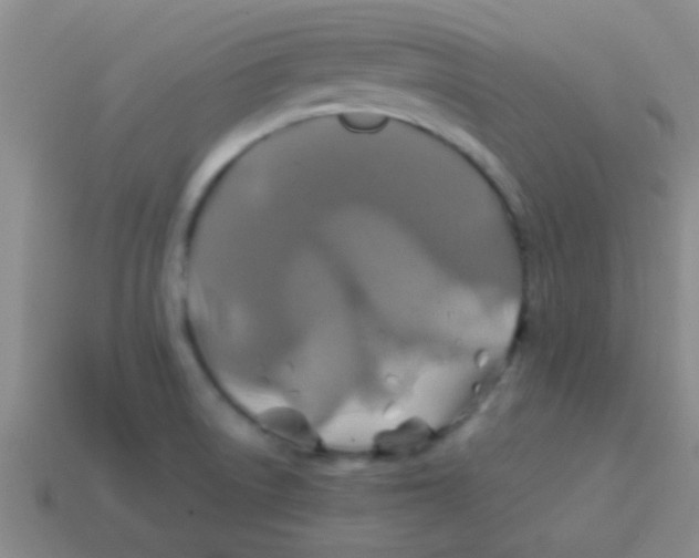 X0000113601522200910161854