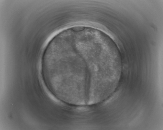 X0000113601523200910161854