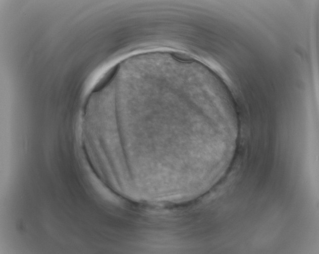 X0000113601524200910161854