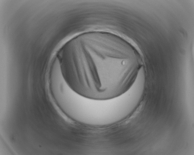 X0000113601525200910161854