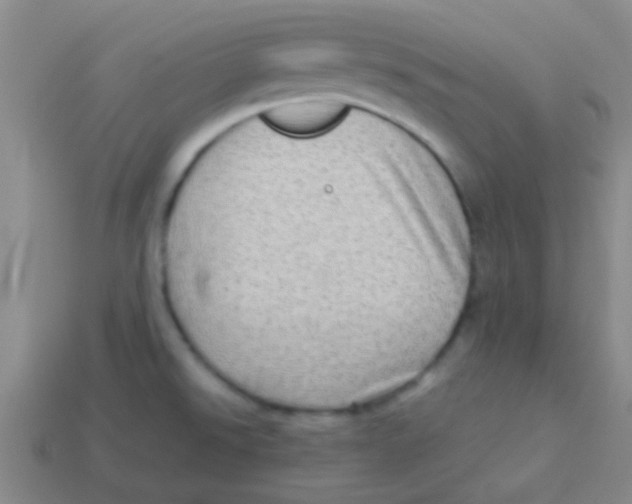 X0000113601526200910161854