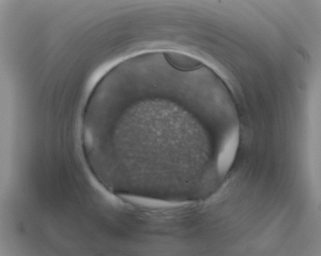 X0000113601527200910161854