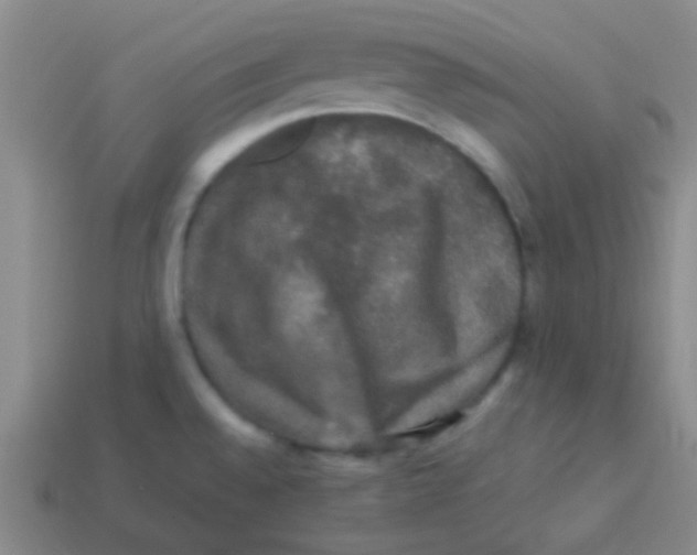 X0000113601528200910161854