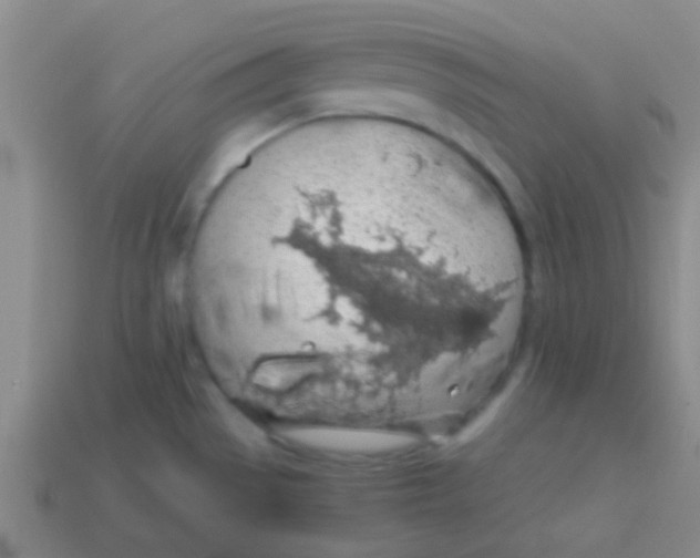 X0000113601529200910161854