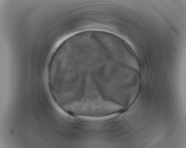 X0000113601531200910161854