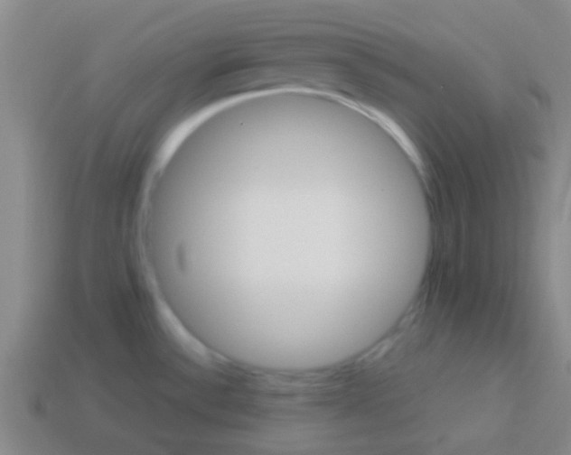 X0000113601532200910161854