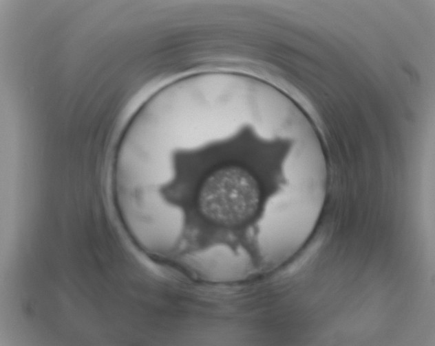 X0000113601533200910161854