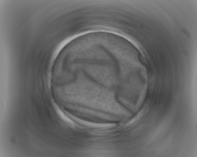 X0000113601535200910161854