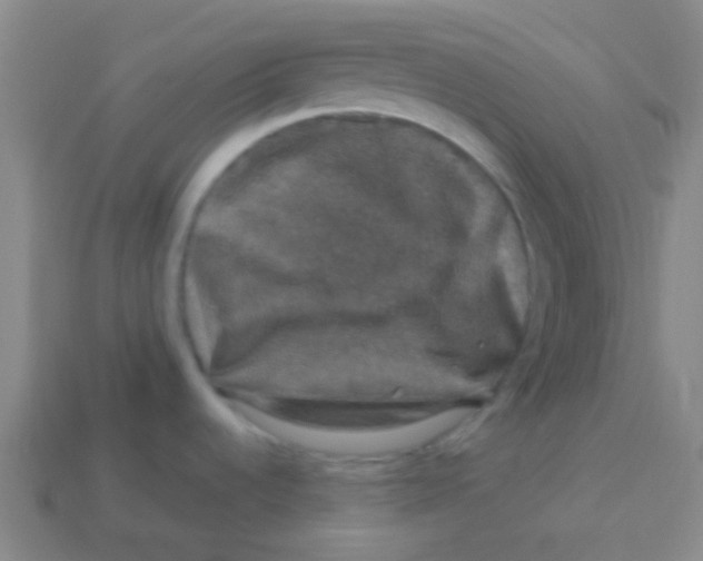 X0000113601536200910161854