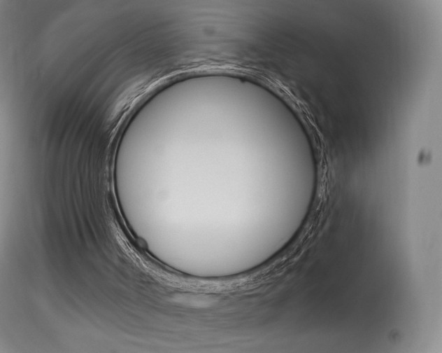 X0000113610002200909181103