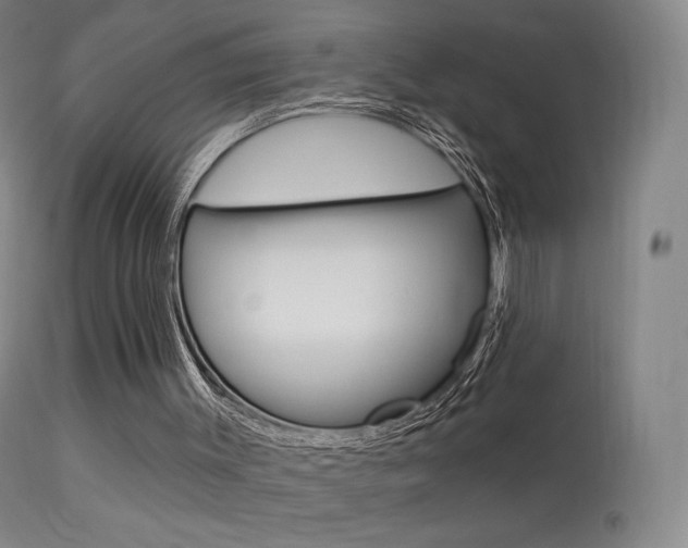 X0000113610003200909181103