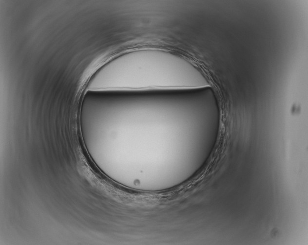 X0000113610004200909181103