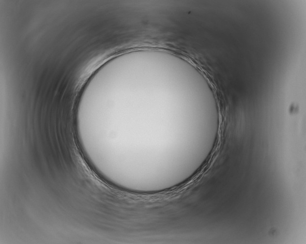 X0000113610005200909181103