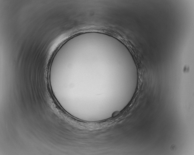 X0000113610006200909181103