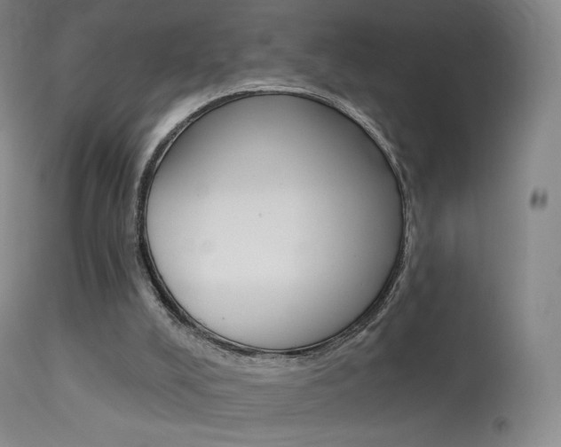 X0000113610008200909181103