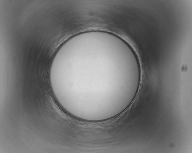 X0000113610009200909181103