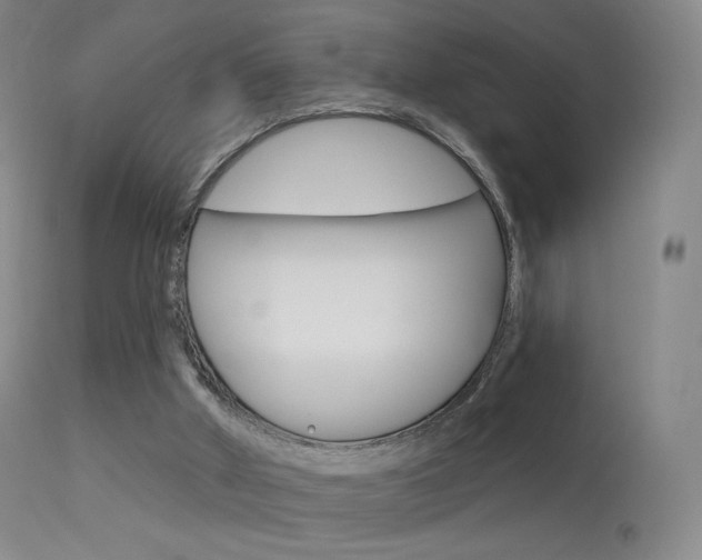 X0000113610010200909181103